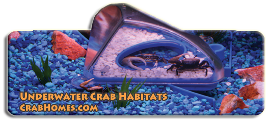 Crab Habitat